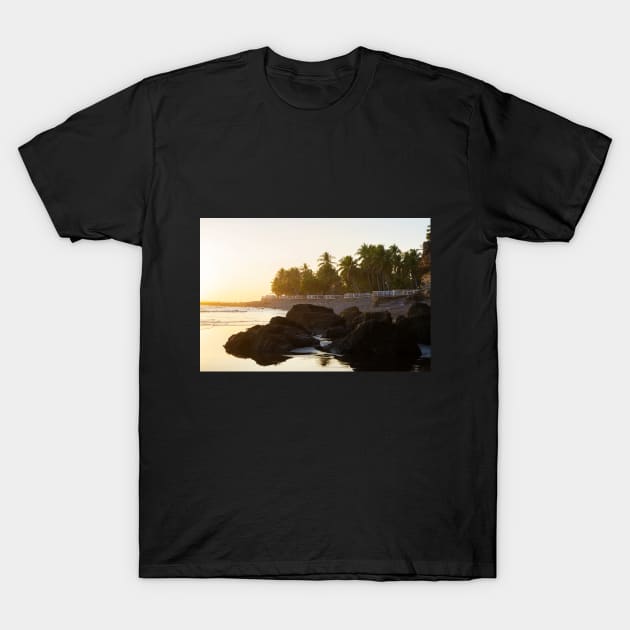 rocky beach and cliff with palm trees T-Shirt by renee1ty